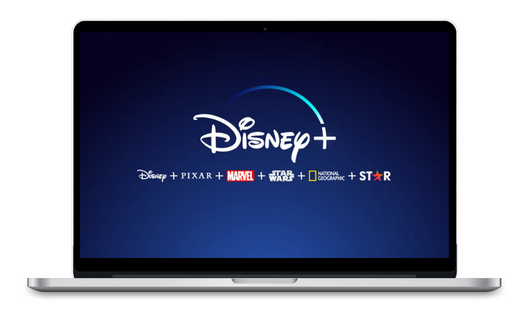 Disney video downloader