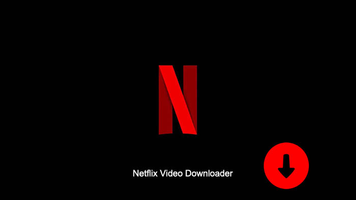 what is the netflix app for windows 10