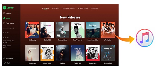spotify to apple music playlist converter online